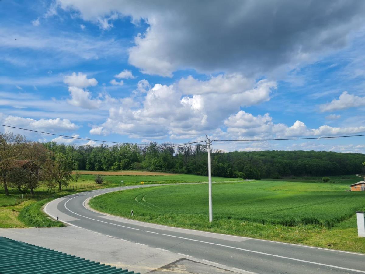 Apartman Ruzic Sveti Ivan Zabno Exteriér fotografie