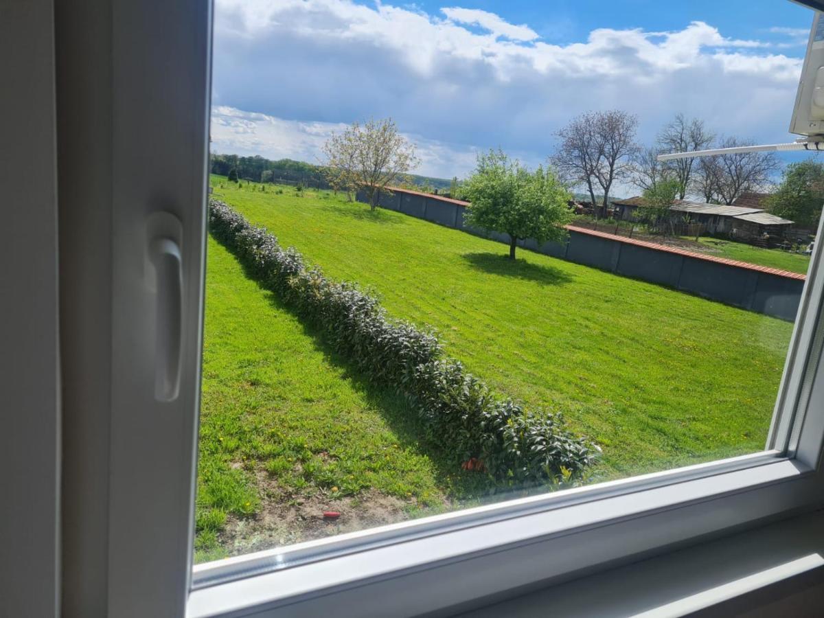 Apartman Ruzic Sveti Ivan Zabno Exteriér fotografie